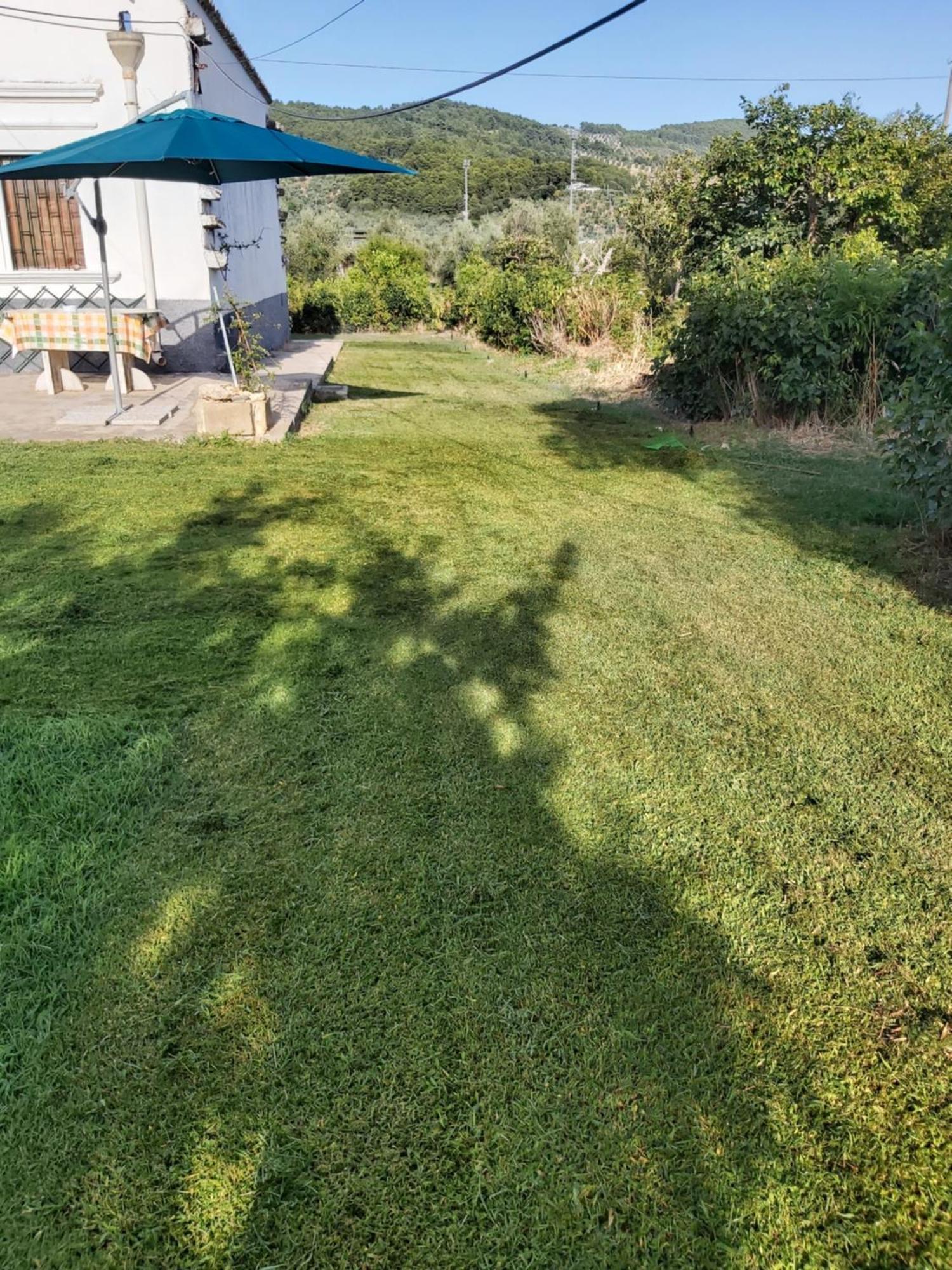 Vila Casa Colonica Di Campagna Come Era Una Volta Peschici Pokoj fotografie